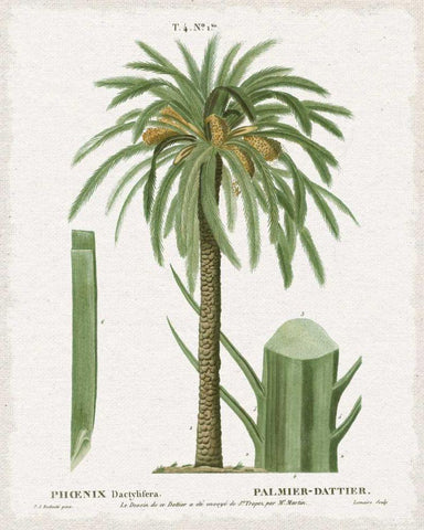 Island Botanicals II Black Ornate Wood Framed Art Print with Double Matting by Wild Apple Portfolio