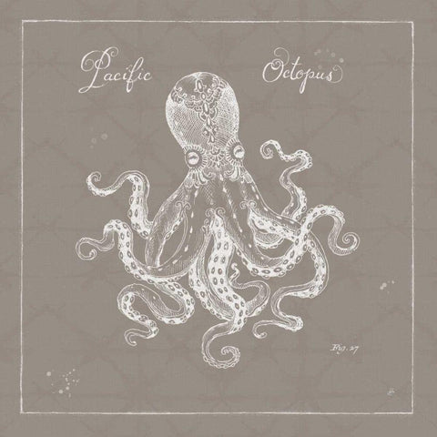 Underwater Life X Greige Black Modern Wood Framed Art Print with Double Matting by Brissonnet, Daphne