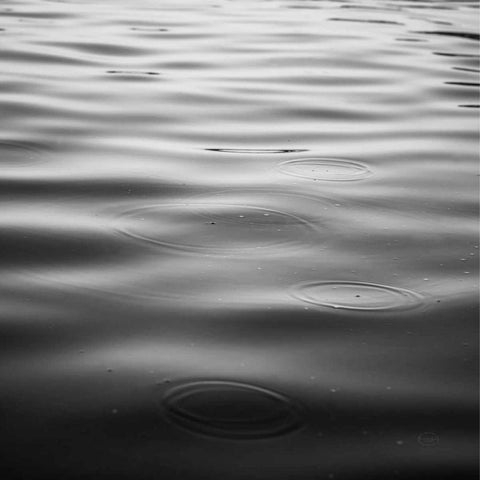 Rainy Day BW Black Modern Wood Framed Art Print with Double Matting by Studio, Brookview
