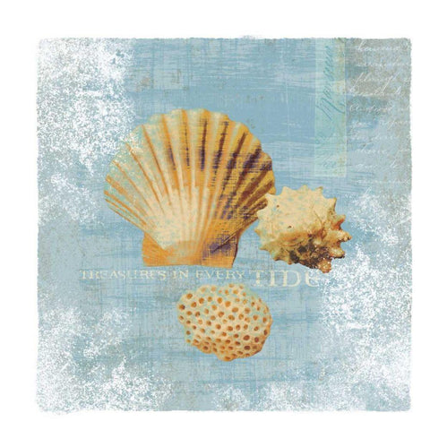 Tidal Treasures  - Wag White Modern Wood Framed Art Print with Double Matting by Wild Apple Portfolio