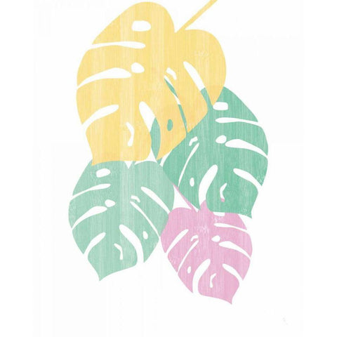 Monstera III Bright on White Black Modern Wood Framed Art Print with Double Matting by Adams, Sarah