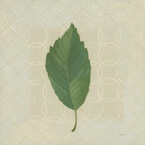 Forest Leaves III no Lines Gold Ornate Wood Framed Art Print with Double Matting by Lovell, Kathrine