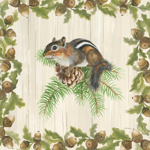 Woodland Critter II White Modern Wood Framed Art Print with Double Matting by Ducklow, Patsy