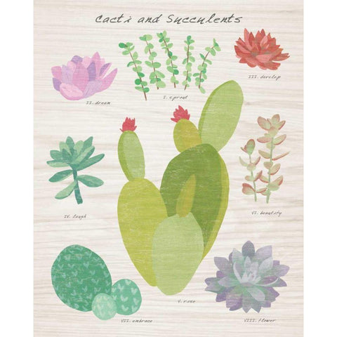 Succulent and Cacti Chart III on Wood Gold Ornate Wood Framed Art Print with Double Matting by Wild Apple Portfolio