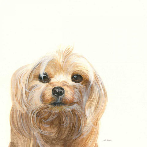 Little Scruff Gizmo Black Modern Wood Framed Art Print by Ducklow, Patsy