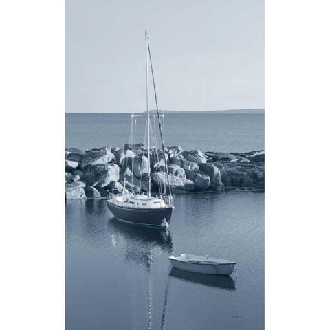 By the Sea II no Border Black Modern Wood Framed Art Print with Double Matting by Audit, Lisa