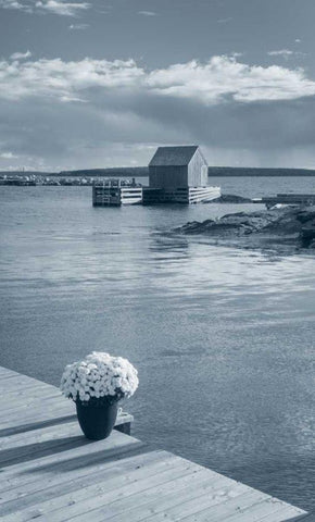 By the Sea III no Border Black Ornate Wood Framed Art Print with Double Matting by Audit, Lisa