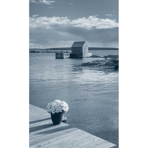 By the Sea III no Border Black Modern Wood Framed Art Print by Audit, Lisa