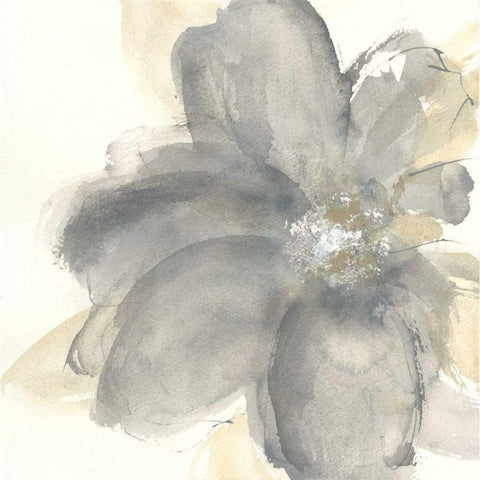 Floral Gray I Black Modern Wood Framed Art Print by Paschke, Chris