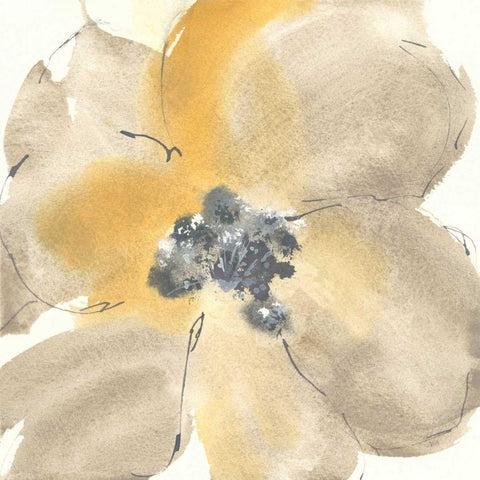 Flower Tones I White Modern Wood Framed Art Print by Paschke, Chris