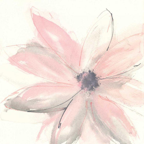 Blush Clematis I White Modern Wood Framed Art Print by Paschke, Chris