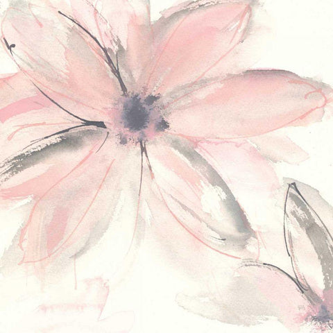 Blush Clematis II White Modern Wood Framed Art Print with Double Matting by Paschke, Chris