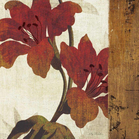 Floral Harmony III Black Modern Wood Framed Art Print by Mullan, Michael