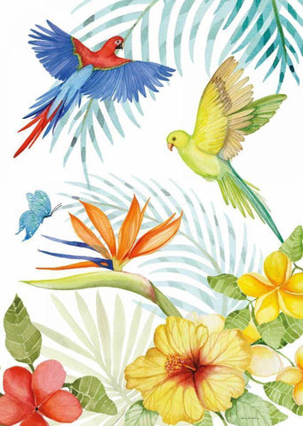 Treasures of the Tropics II White Modern Wood Framed Art Print with Double Matting by McKenna, Kathleen Parr