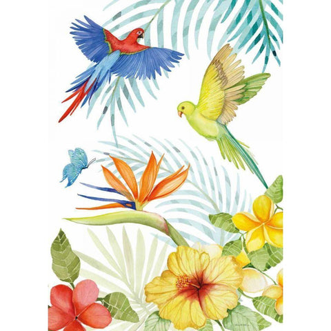 Treasures of the Tropics II Black Modern Wood Framed Art Print with Double Matting by McKenna, Kathleen Parr