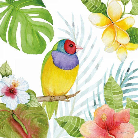 Treasures of the Tropics V White Modern Wood Framed Art Print by McKenna, Kathleen Parr