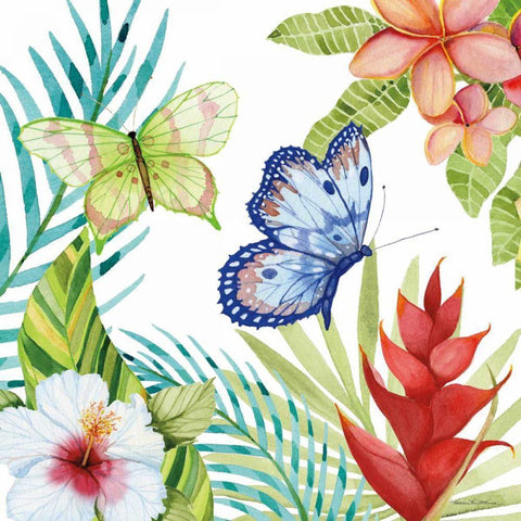 Treasures of the Tropics VI White Modern Wood Framed Art Print by McKenna, Kathleen Parr