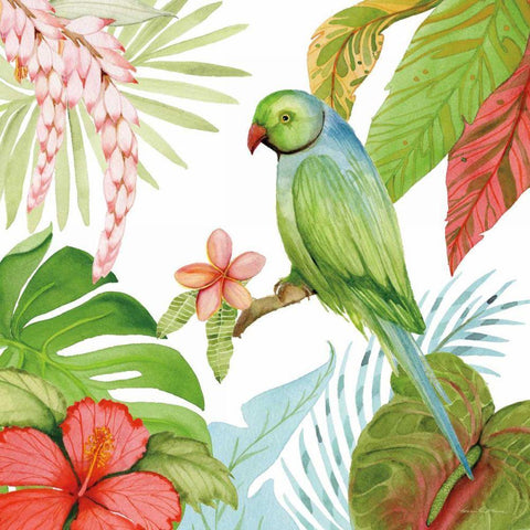 Treasures of the Tropics VII White Modern Wood Framed Art Print with Double Matting by McKenna, Kathleen Parr