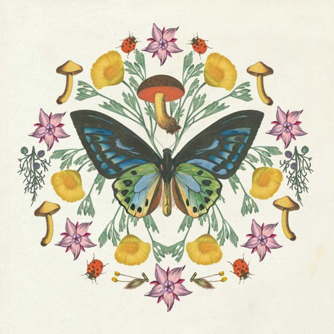 Butterfly Mandala IV White Modern Wood Framed Art Print by Wild Apple Portfolio