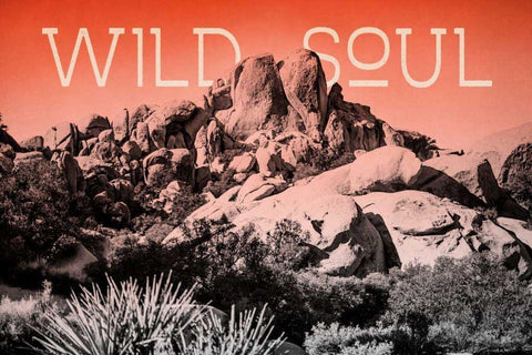 Ombre Adventure II Wild Soul Black Ornate Wood Framed Art Print with Double Matting by Urquhart, Elizabeth