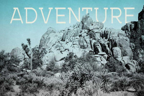 Ombre Adventure III Adventure Black Ornate Wood Framed Art Print with Double Matting by Urquhart, Elizabeth