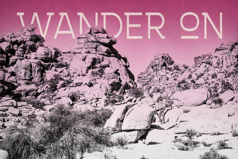 Ombre Adventure IV Wander On Black Ornate Wood Framed Art Print with Double Matting by Urquhart, Elizabeth