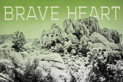 Ombre Adventure V Brave Heart White Modern Wood Framed Art Print with Double Matting by Urquhart, Elizabeth