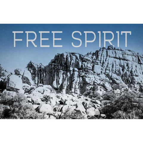 Ombre Adventure VI Free Spirit Black Modern Wood Framed Art Print by Urquhart, Elizabeth