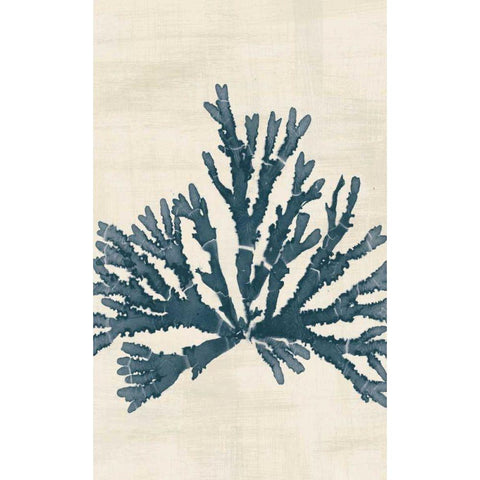 Pacific Sea Mosses IV No Map Crop Black Modern Wood Framed Art Print by Wild Apple Portfolio