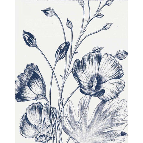 Botanical Beauty Chalk IX Blue on White Crop White Modern Wood Framed Art Print by Wild Apple Portfolio