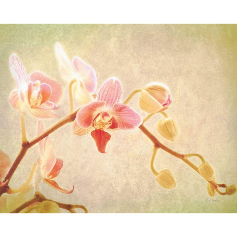 Perfume Gold Ornate Wood Framed Art Print with Double Matting by Bevan, Keri