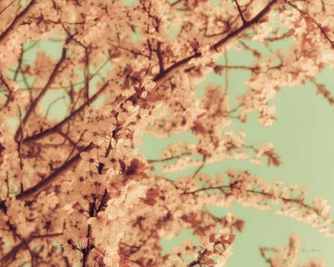 Kyoto White Modern Wood Framed Art Print with Double Matting by Bevan, Keri