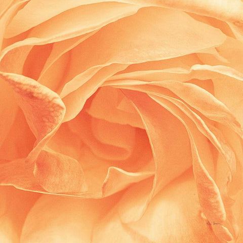 Georgia Gold Ornate Wood Framed Art Print with Double Matting by Bevan, Keri