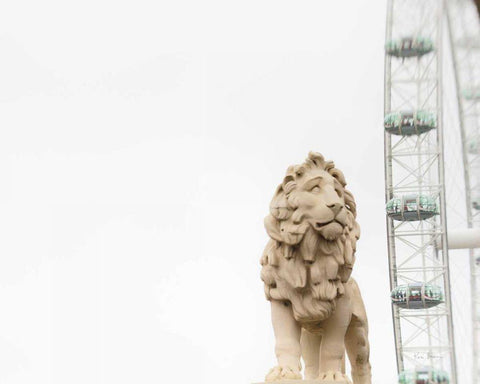 Lion of London White Modern Wood Framed Art Print with Double Matting by Bevan, Keri