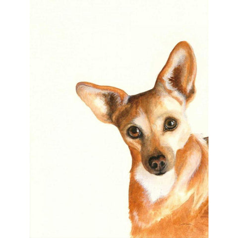 Xena White Modern Wood Framed Art Print by Ducklow, Patsy