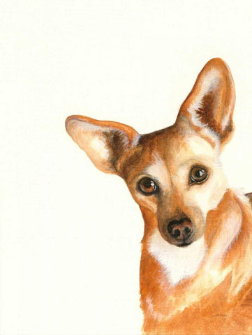 Xena Black Ornate Wood Framed Art Print with Double Matting by Ducklow, Patsy