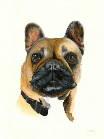 Gidget White Modern Wood Framed Art Print with Double Matting by Ducklow, Patsy