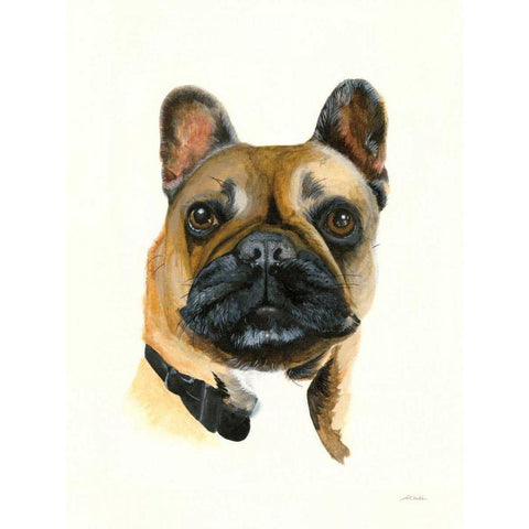 Gidget White Modern Wood Framed Art Print by Ducklow, Patsy