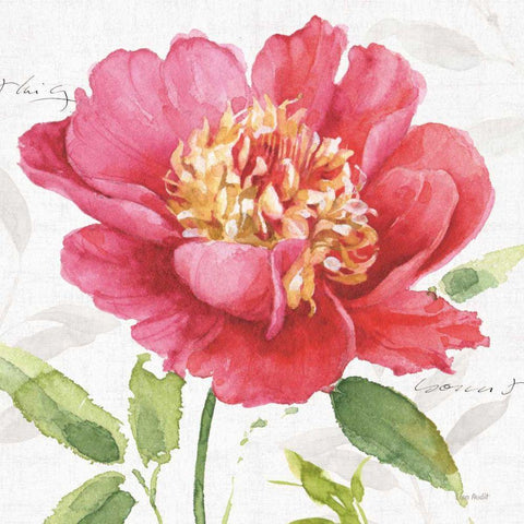 Pink Garden II White Modern Wood Framed Art Print with Double Matting by Audit, Lisa