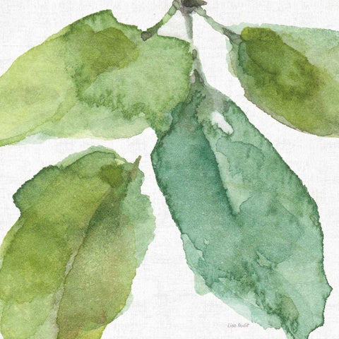 Blue and Green Garden VIII White Modern Wood Framed Art Print by Audit, Lisa