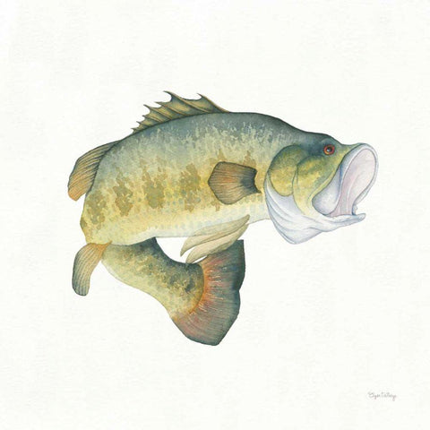 Gone Fishin Large Mouth Black Modern Wood Framed Art Print with Double Matting by DeNeige, Elyse