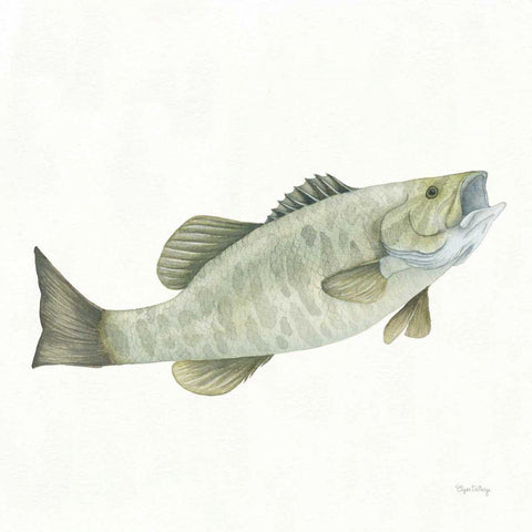 Gone Fishin Small Mouth Black Modern Wood Framed Art Print with Double Matting by DeNeige, Elyse