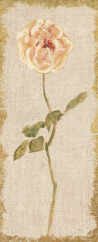 Pale Rose Panel on White Vintage v2 Black Ornate Wood Framed Art Print with Double Matting by Blum, Cheri