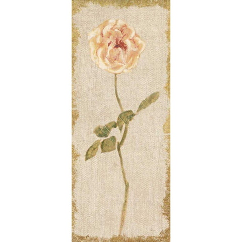 Pale Rose Panel on White Vintage v2 Black Modern Wood Framed Art Print with Double Matting by Blum, Cheri