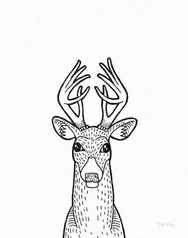 Forest Friends III Black and White Deer Black Ornate Wood Framed Art Print with Double Matting by DeNeige, Elyse