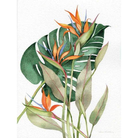Botanical Birds of Paradise Black Modern Wood Framed Art Print by McKenna, Kathleen Parr