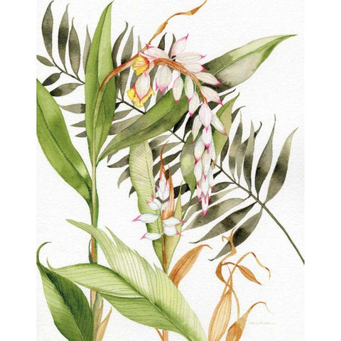 Botanical Shell Ginger Crop Gold Ornate Wood Framed Art Print with Double Matting by McKenna, Kathleen Parr