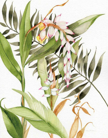 Botanical Shell Ginger Crop White Modern Wood Framed Art Print with Double Matting by McKenna, Kathleen Parr