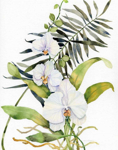 Botanical Phalaenopsis Crop White Modern Wood Framed Art Print with Double Matting by McKenna, Kathleen Parr