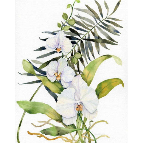 Botanical Phalaenopsis Crop Black Modern Wood Framed Art Print by McKenna, Kathleen Parr